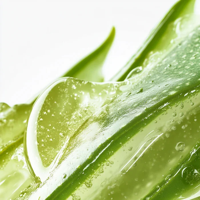 Aloe Barbadensis Leaf Extract: The Ultimate Skin Soother - Revoderm
