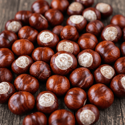 HORSE CHESTNUT SEED EXTRACT
